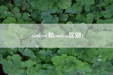 confess(和confess区别)