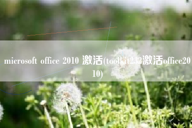 microsoft office 2010 激活(toolkit232激活office2010)