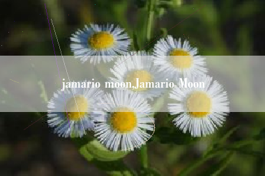 jamario moon,Jamario Moon