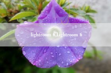 lightroom 6,Lightroom 6