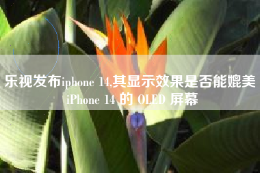 乐视发布iphone 14,其显示效果是否能媲美 iPhone 14 的 OLED 屏幕