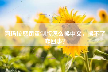 阿玛拉惩罚重制版怎么换中文，换不了咋回事？