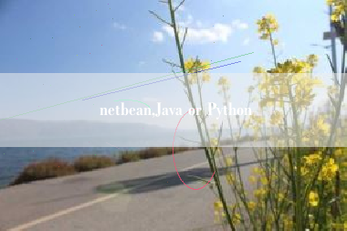 netbean,Java or Python